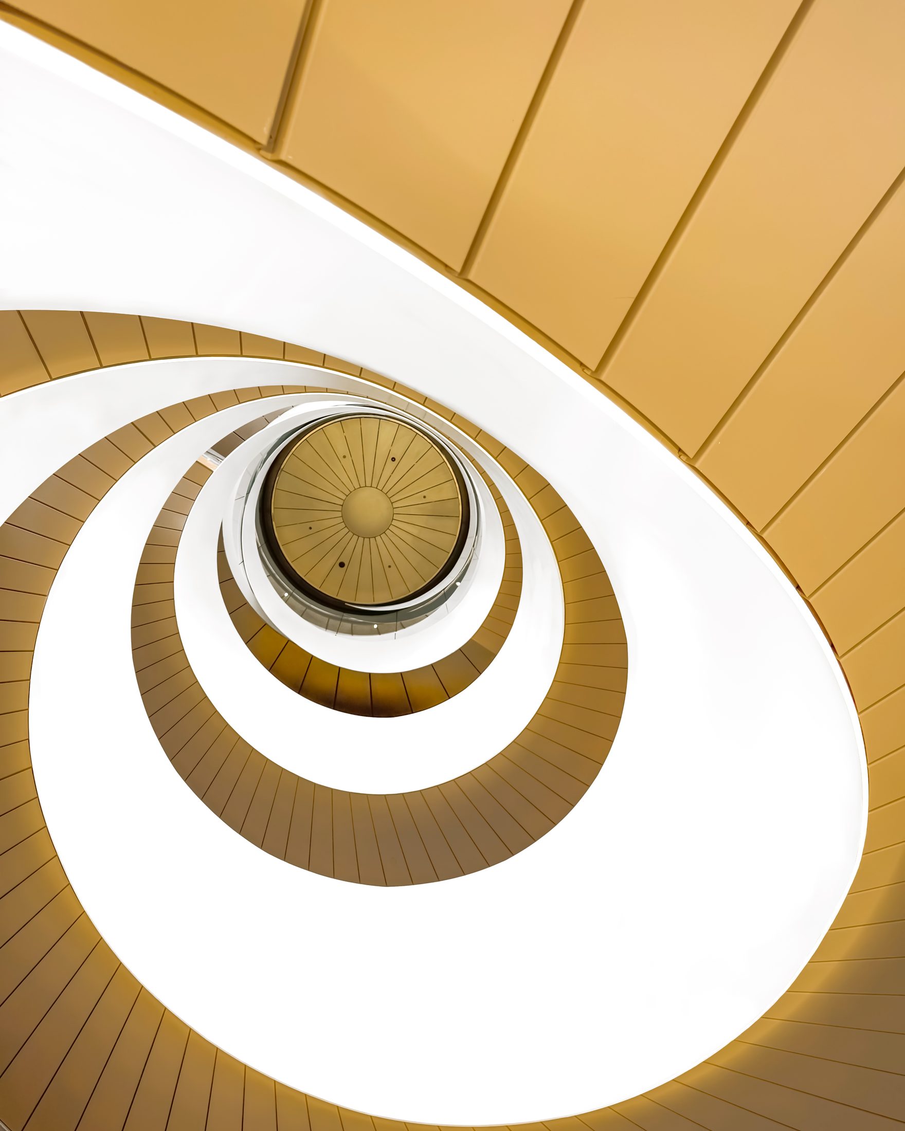 Helix I — Alessio D'Addato