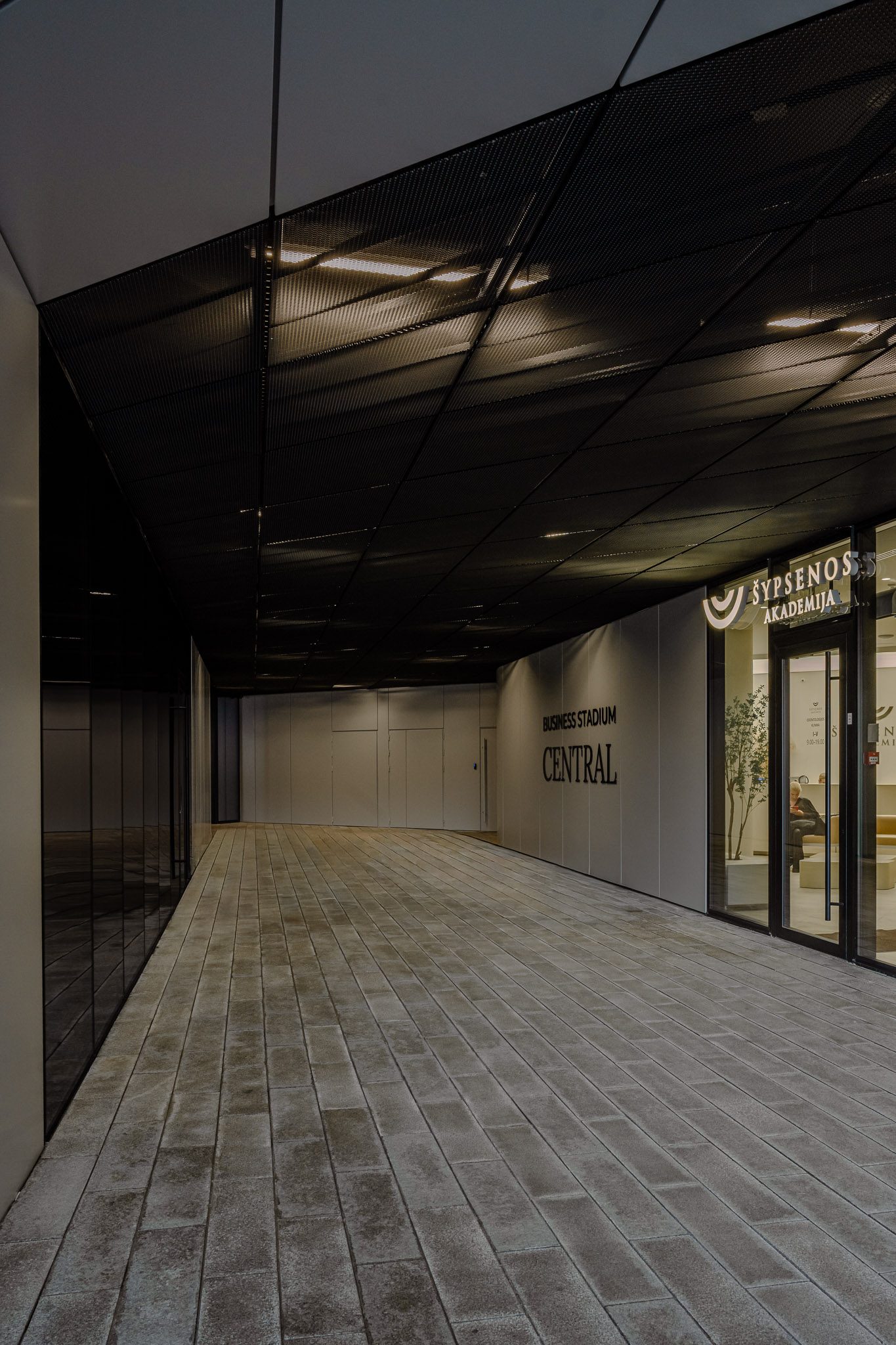 Business Stadium Central by Hanner & Zaha Hadid Architects - Vilnius, Lithuania